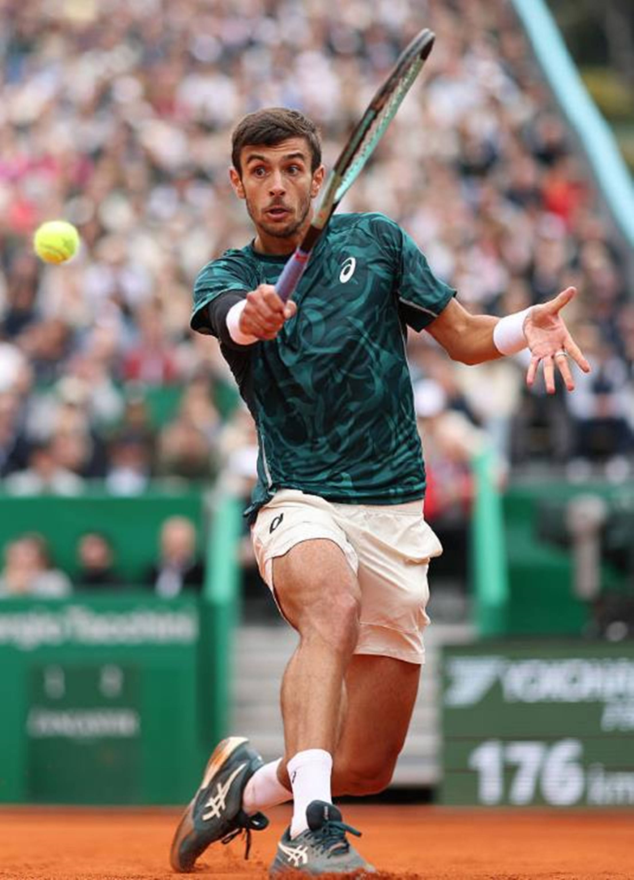 从整体走势 从整体走势