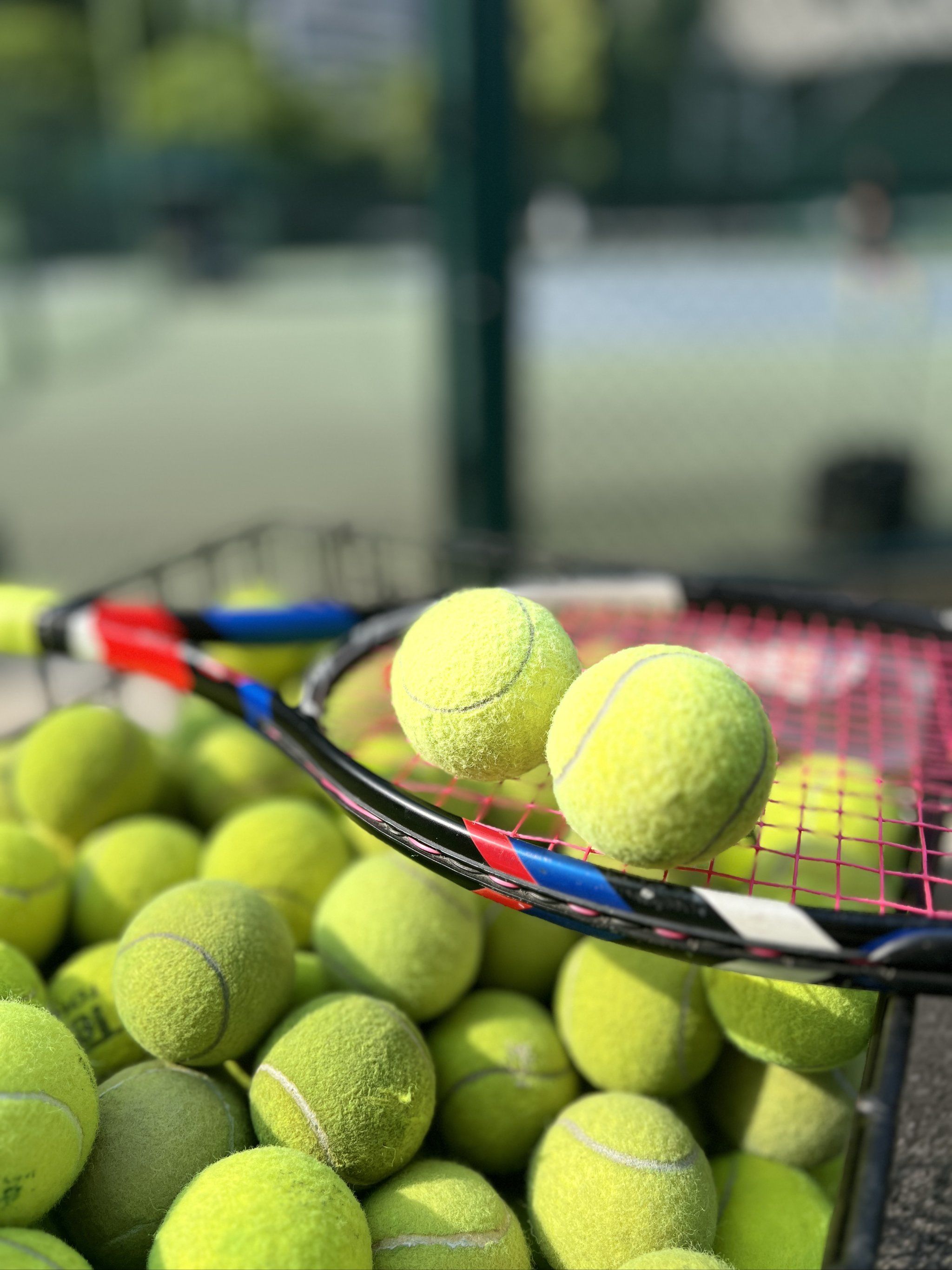 裁判的每一 裁判的每一