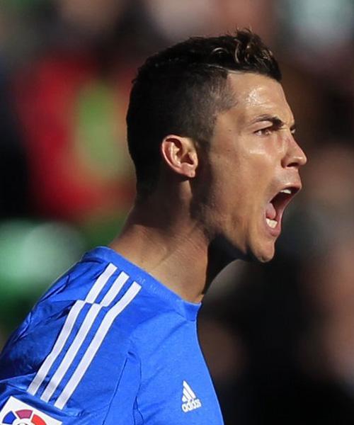 晰可检索 晰可检索