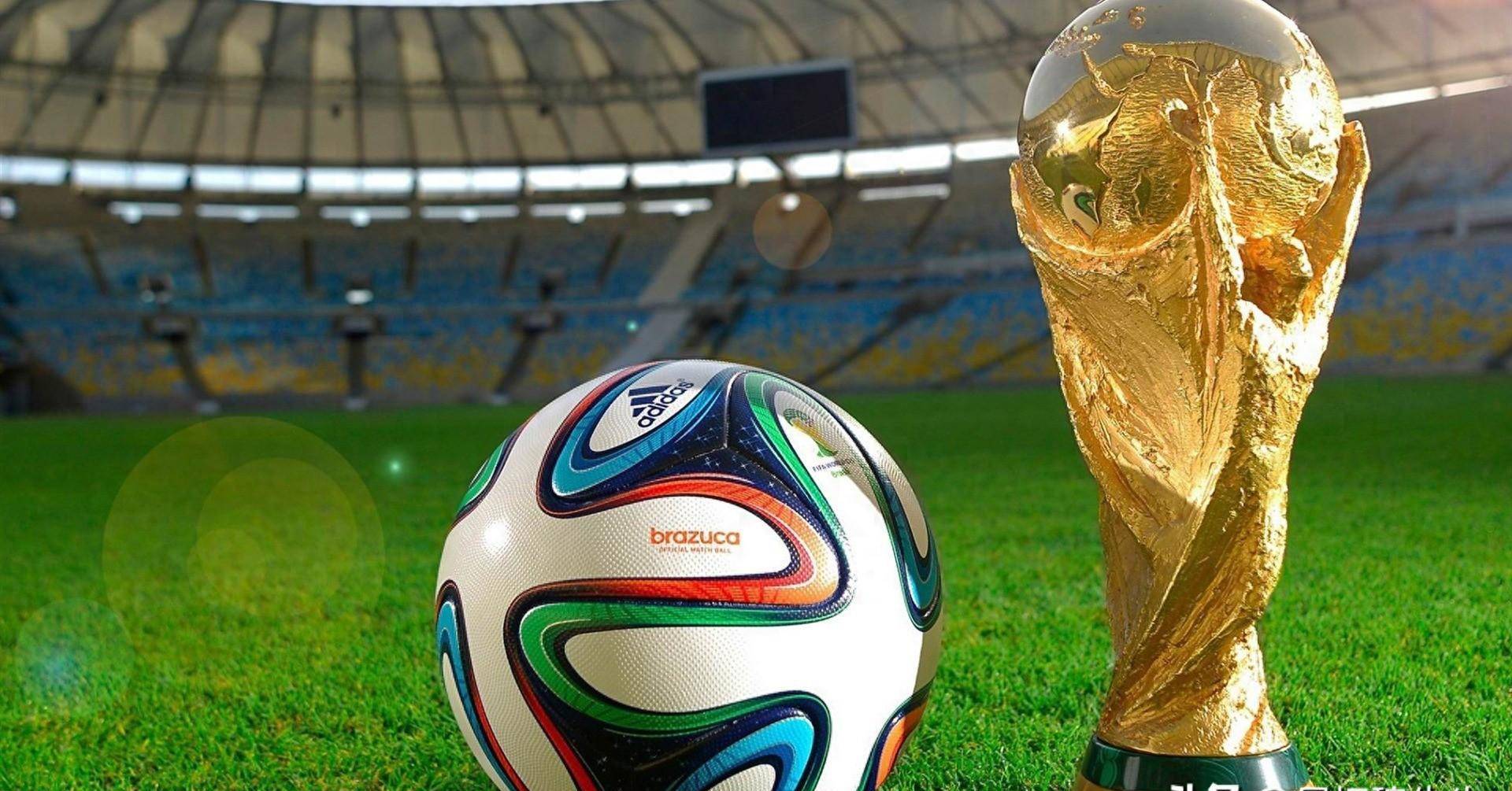 手针对性提 手针对性提